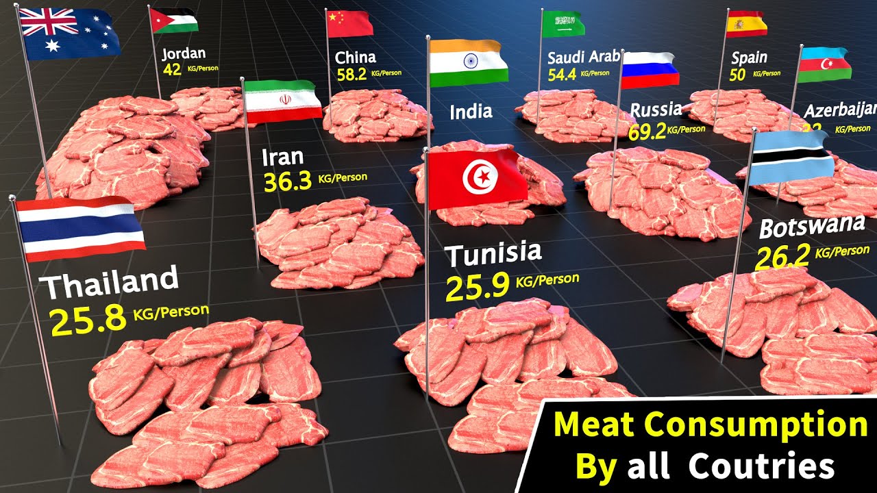 Effects of meat consumption on human health - Agrofeed